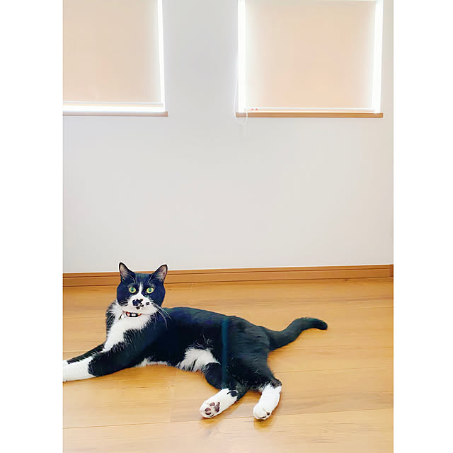 star..さんの実例写真