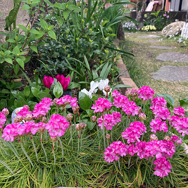 mamaさんの実例写真