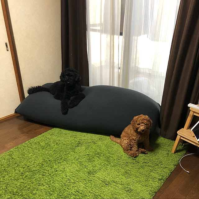 shige.yoshiさんの実例写真