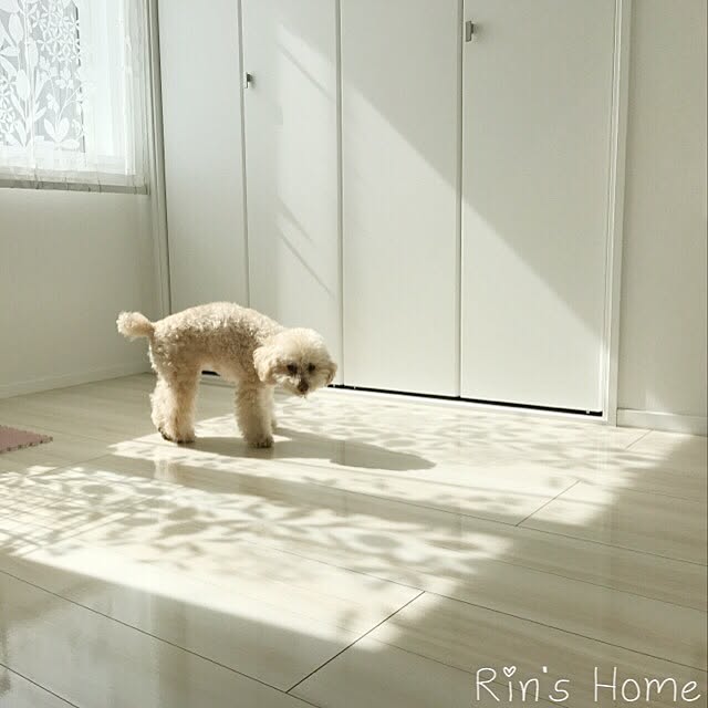 Rinさんの実例写真