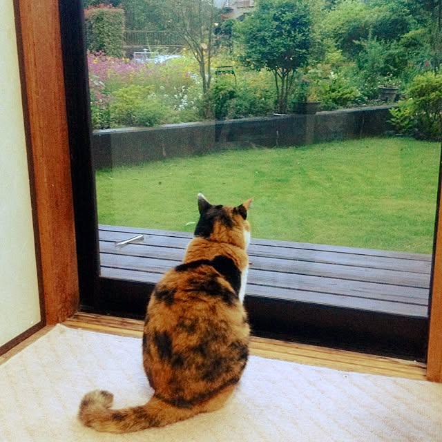 megmegさんの実例写真