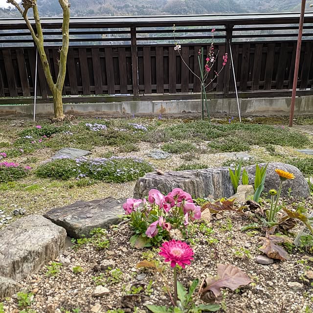 kuririnmamaさんの部屋