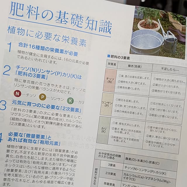 mi-saさんの部屋