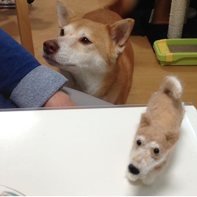 mori_6_12さんの実例写真