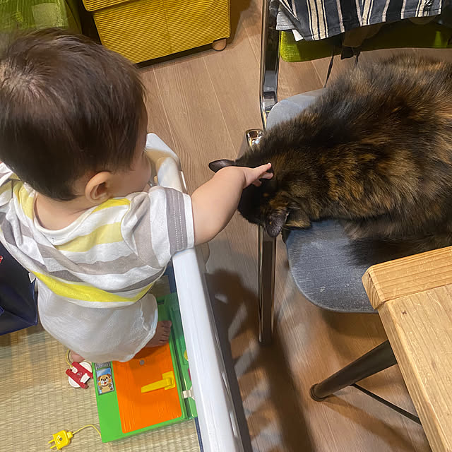 mikomaruさんの実例写真