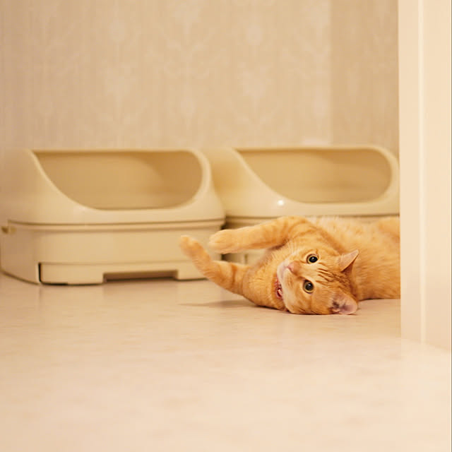 mochiさんの実例写真