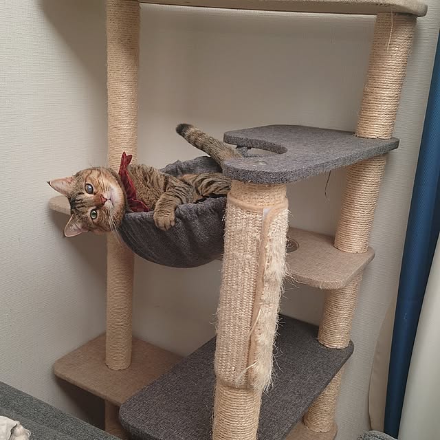 mochicoさんの実例写真
