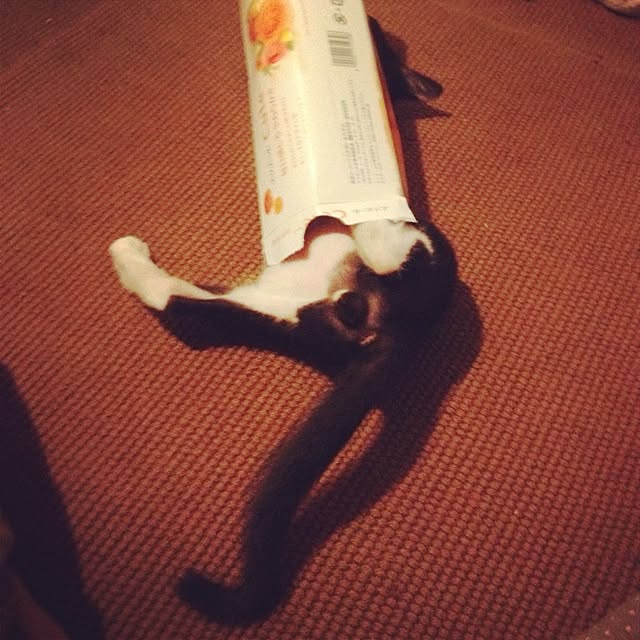 UGOさんの実例写真