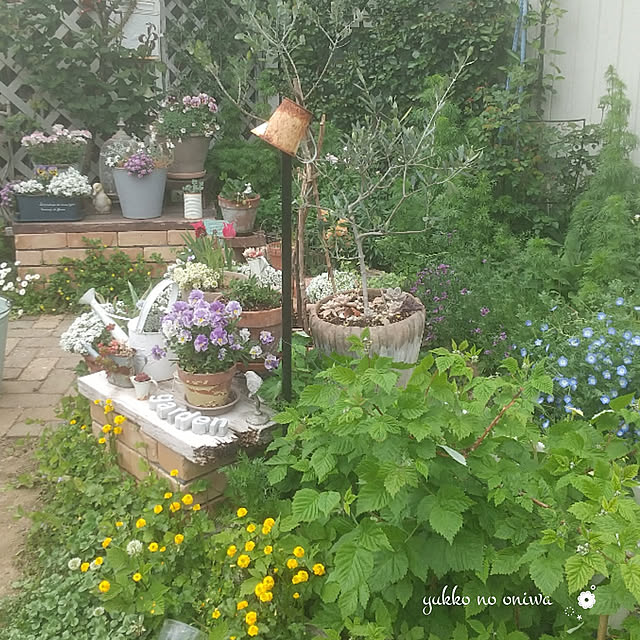 yukkoさんの実例写真