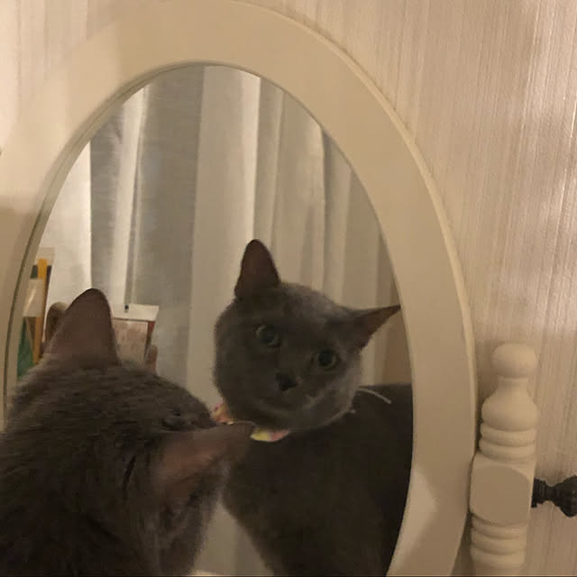 furoraさんの実例写真