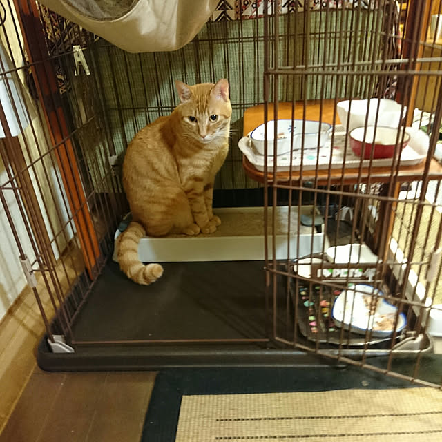 okyosan101さんの実例写真