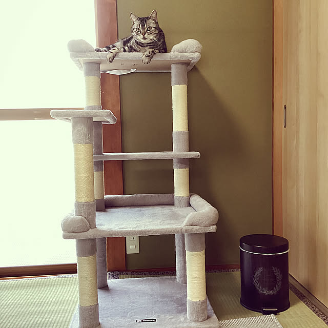 richanさんの実例写真