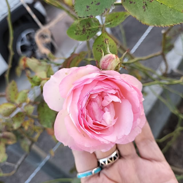 sumimarumiさんの部屋