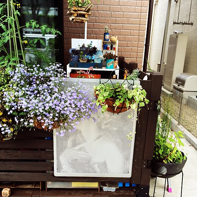 505さんの実例写真