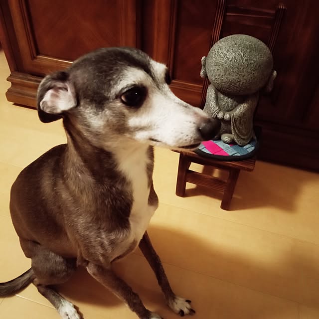 moruさんの部屋