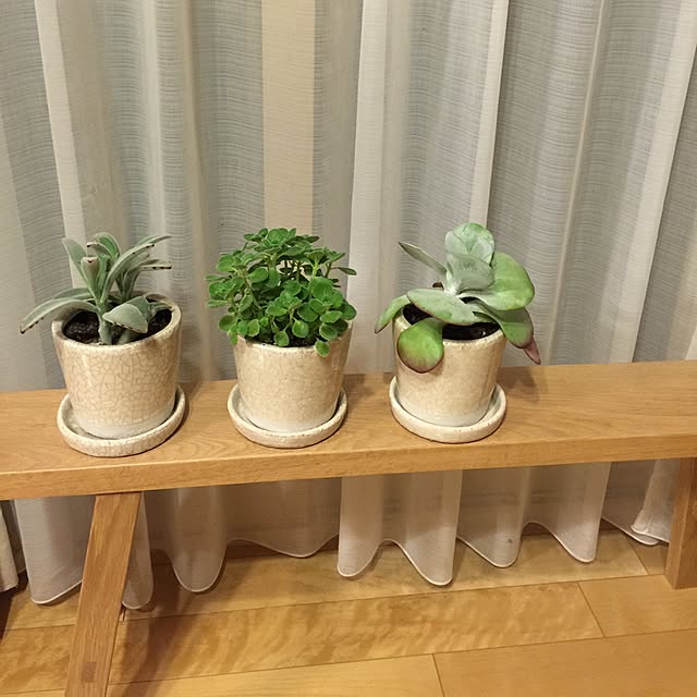 junkoさんの実例写真