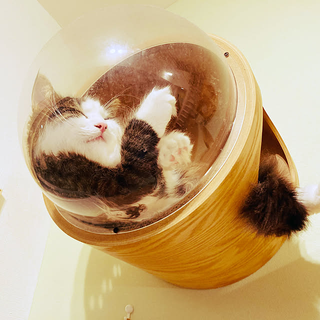 sakura_171220さんの実例写真