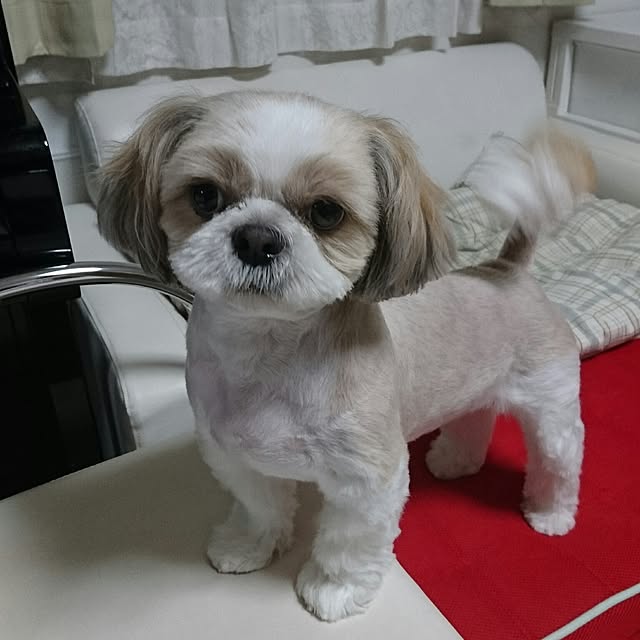 ronさんの実例写真