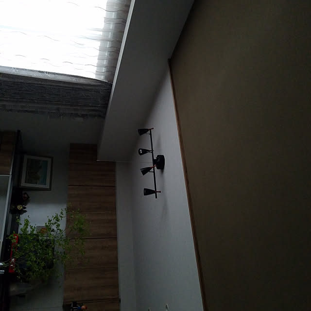 壁/天井のインテリア実例 - 2020-05-15 16:56:46