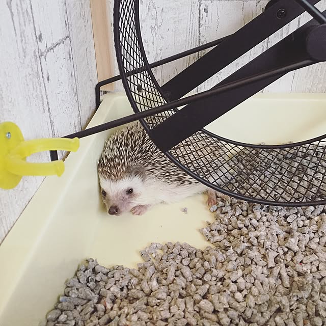 yu_kiさんの実例写真