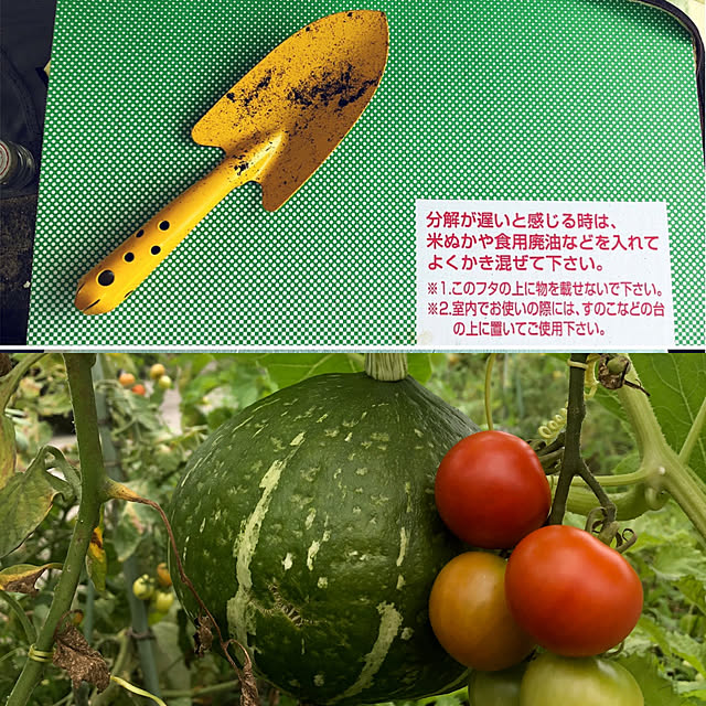 yukichi.wanwaさんの実例写真