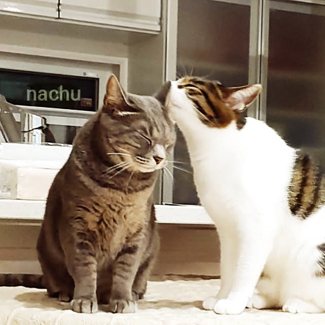 nachuさんの実例写真