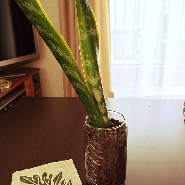 ayumi1028さんの実例写真