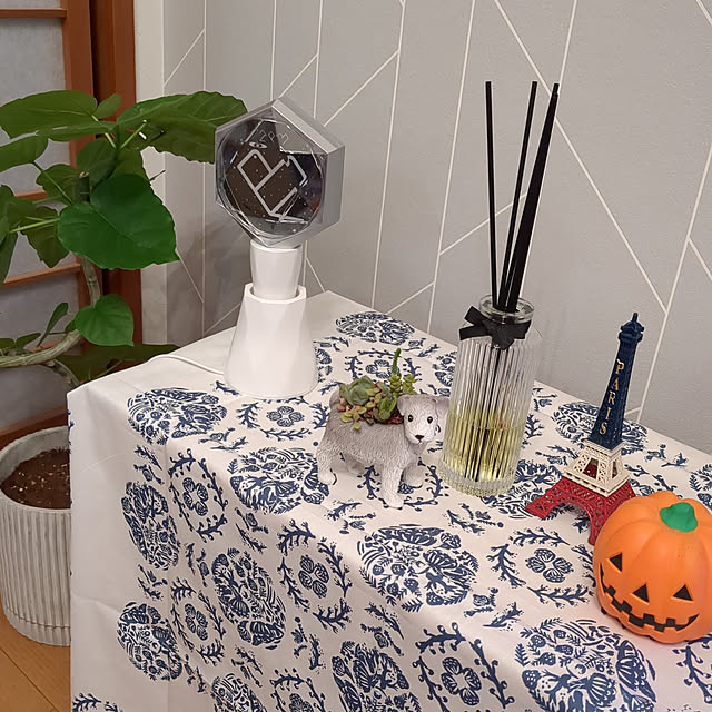 kinuさんの実例写真