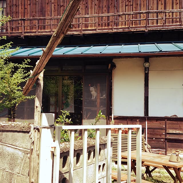 matatabi88さんの実例写真