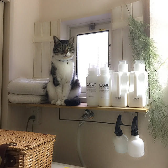 Yukoさんの実例写真