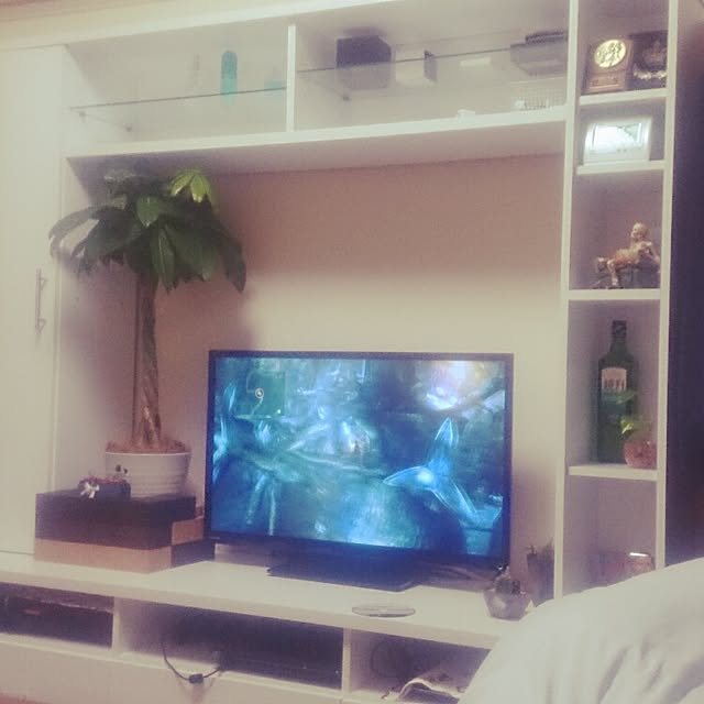 fumiyaさんの実例写真