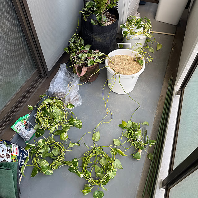 dadarikaさんの部屋