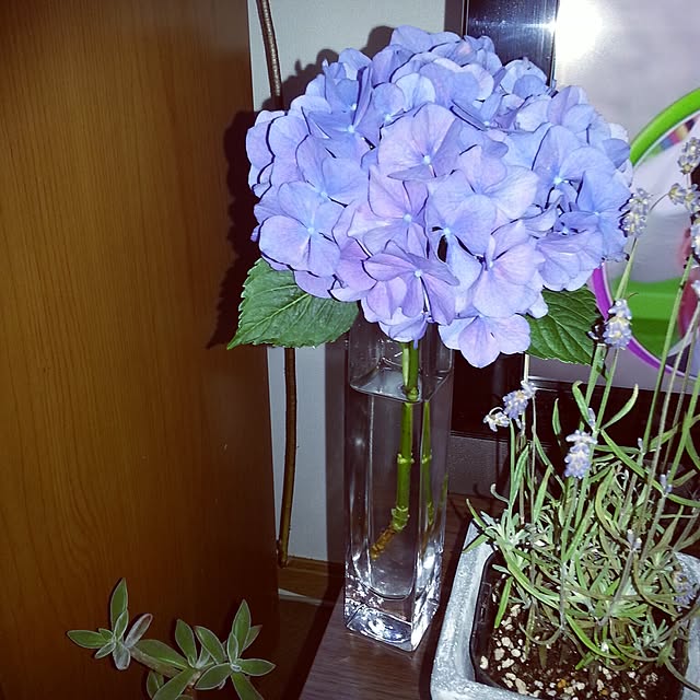 kumiさんの実例写真