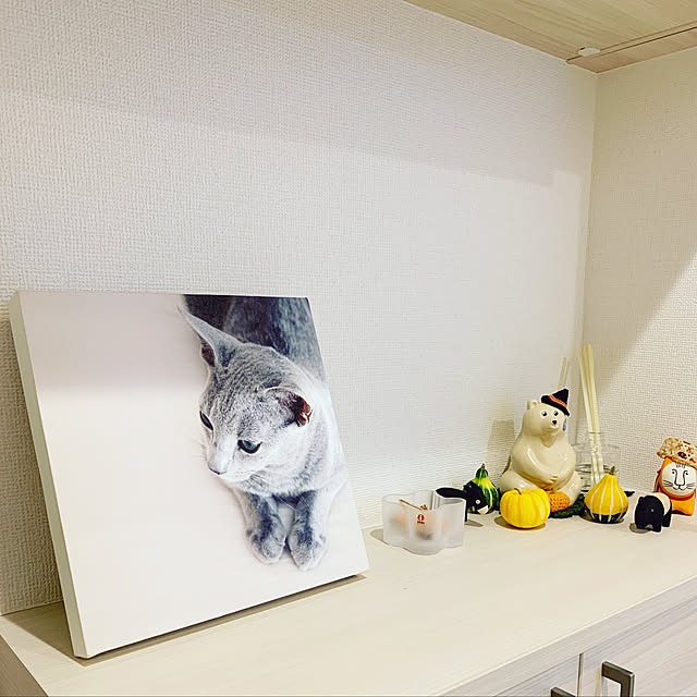 michunekoさんの実例写真
