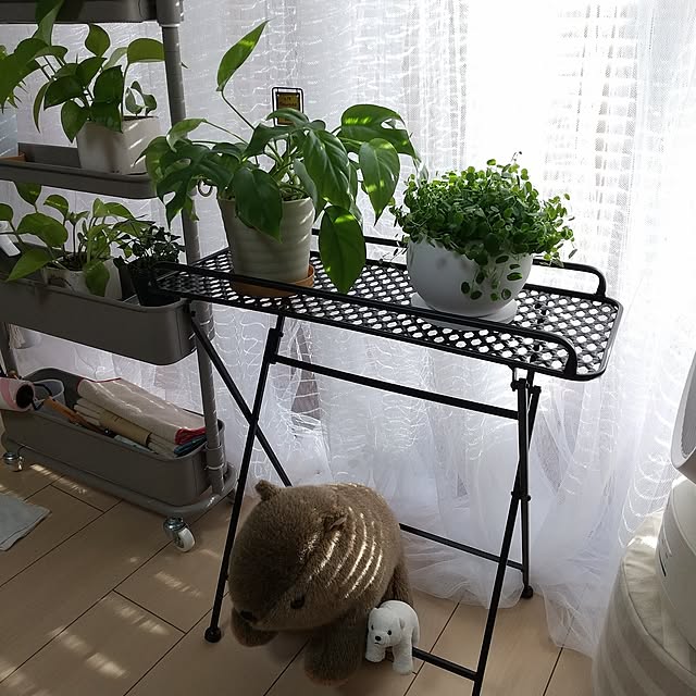 meiさんの実例写真