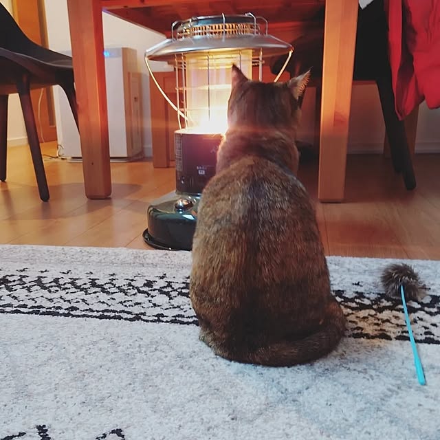 mochicoさんの部屋