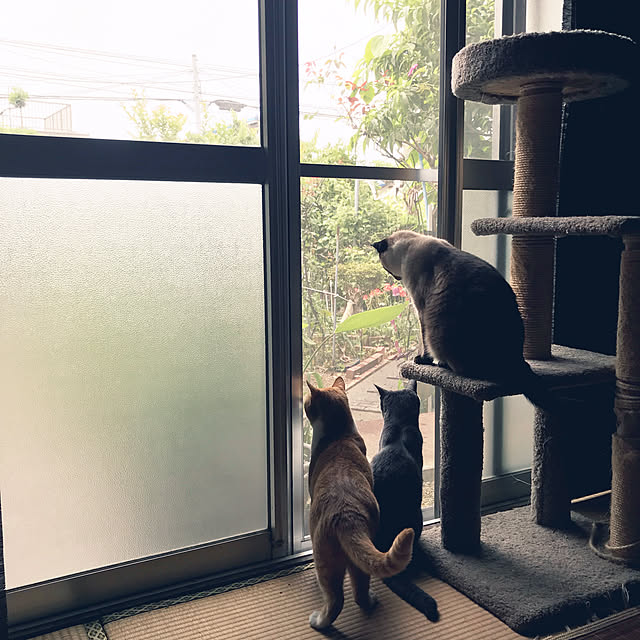 73さんの実例写真