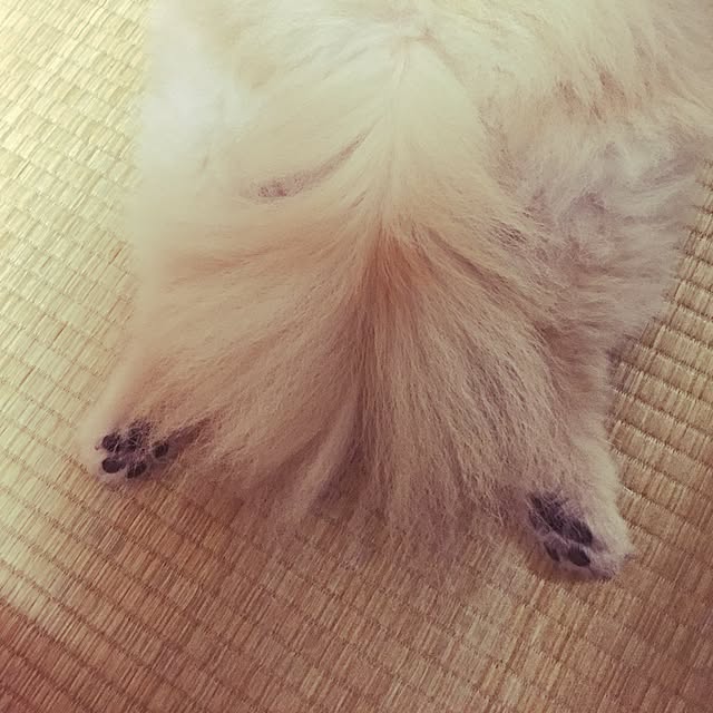 naoaonojoさんの実例写真