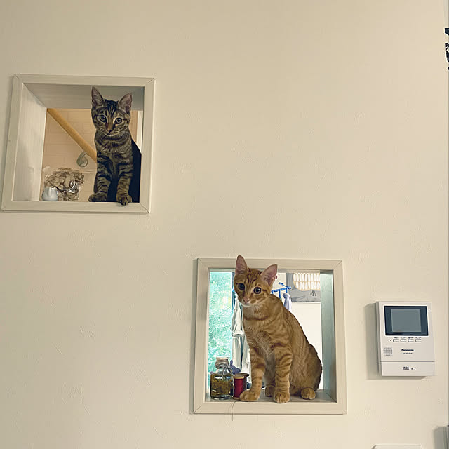 Kumiさんの実例写真