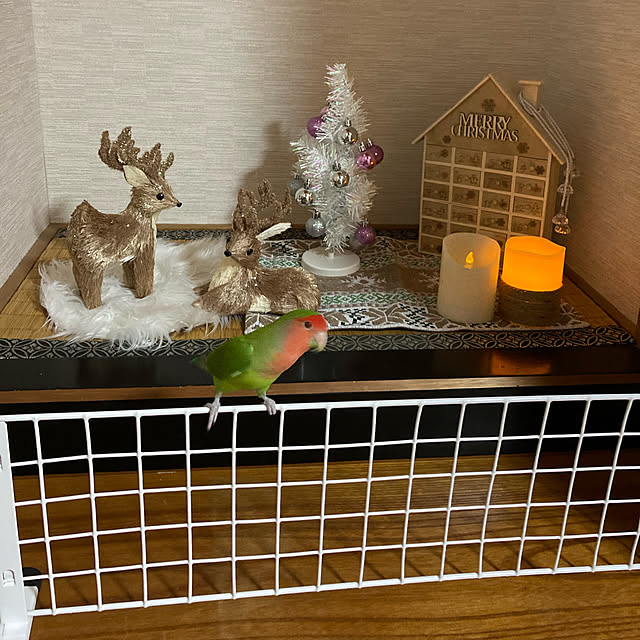 toratanさんの実例写真