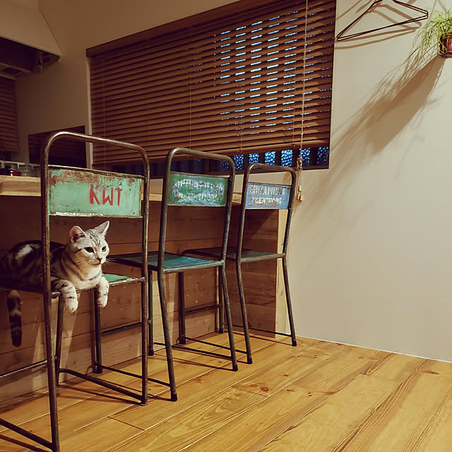 hajiroさんの実例写真