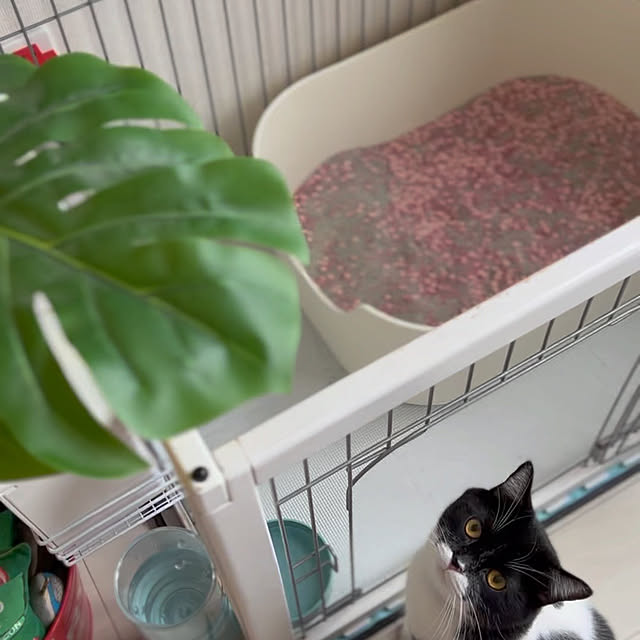 Yukoさんの実例写真