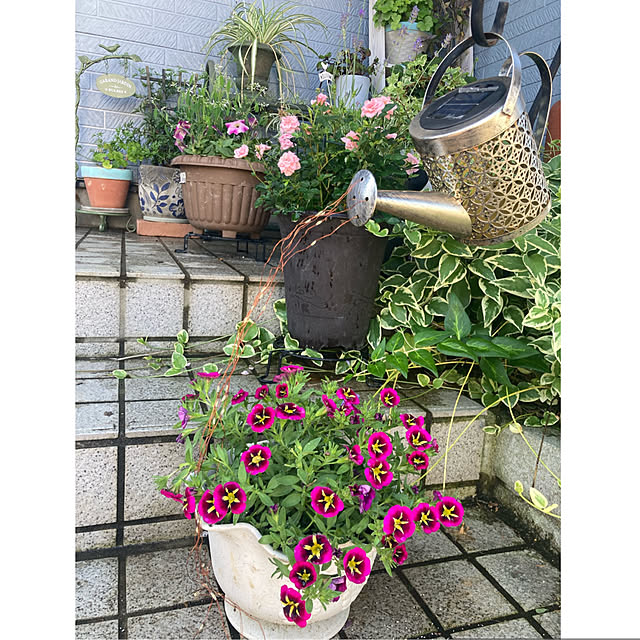 CoCo0617さんの部屋