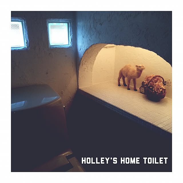 HOLLEYさんの実例写真