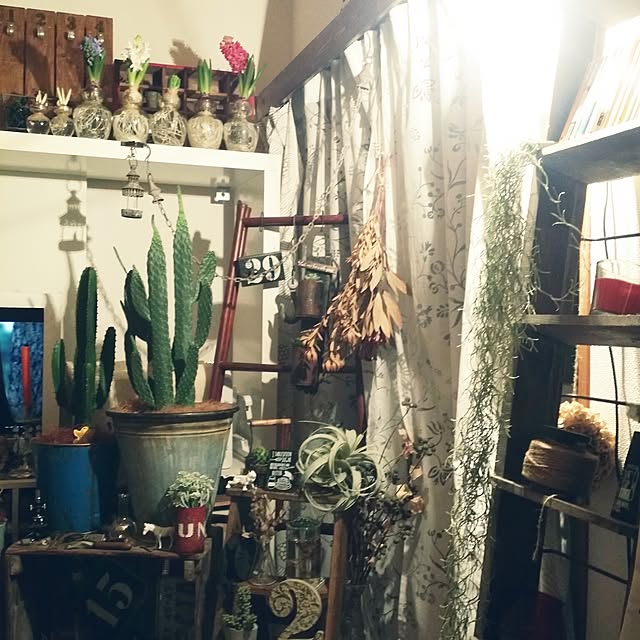 yuriさんの実例写真