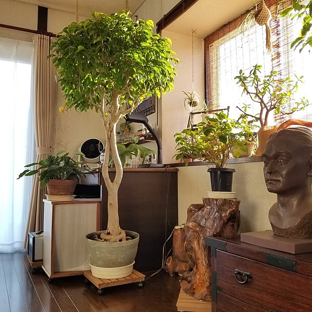 midoriさんの部屋