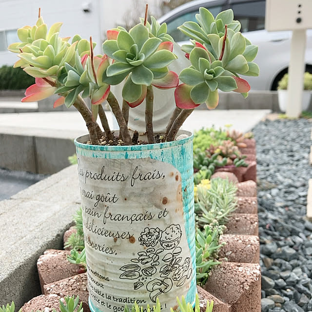 anemaさんの実例写真