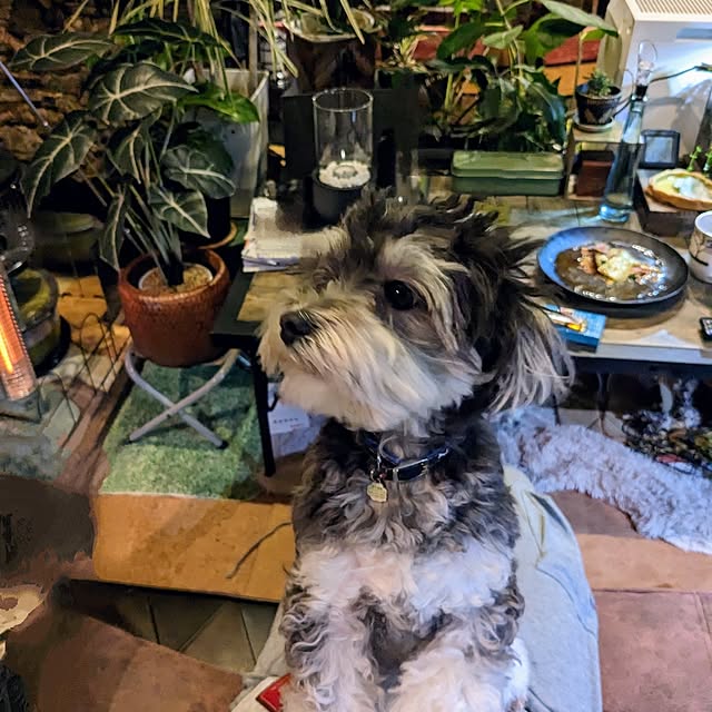 GINさんの部屋