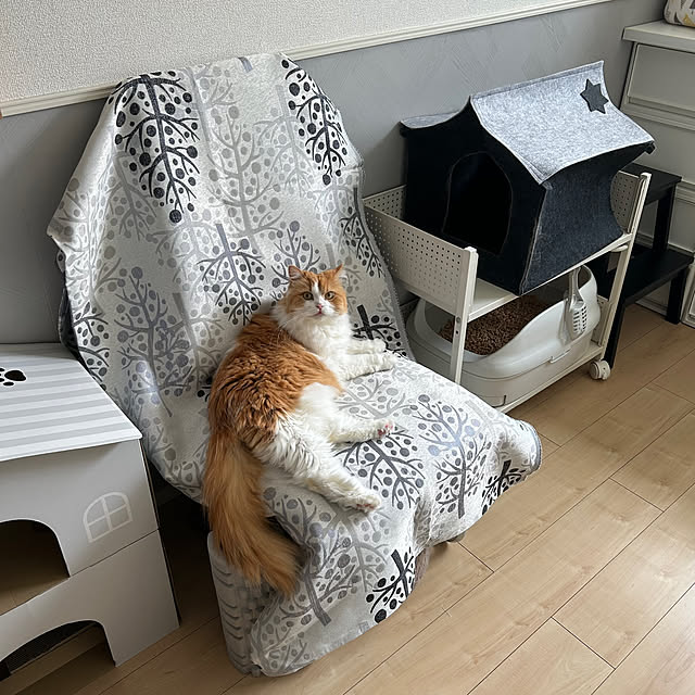 H.Tさんの部屋