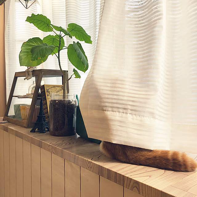 tomatoさんの実例写真